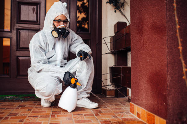 Reliable Ant Control contractor in Wainaku, HI by Show Me Pest Control