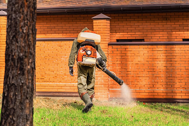 Top rated local Ant Control specialists in Wainaku, HI
